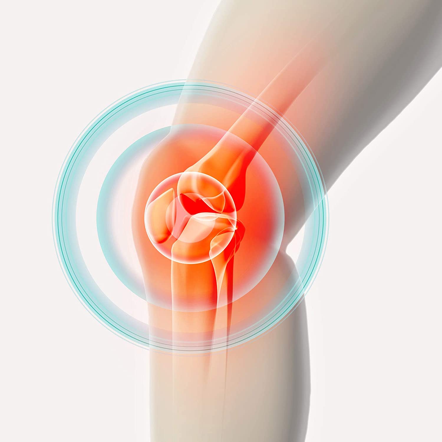 TESMED Knee 2 électrodes de qualité supérieure pour le genou, pas besoin de gel
